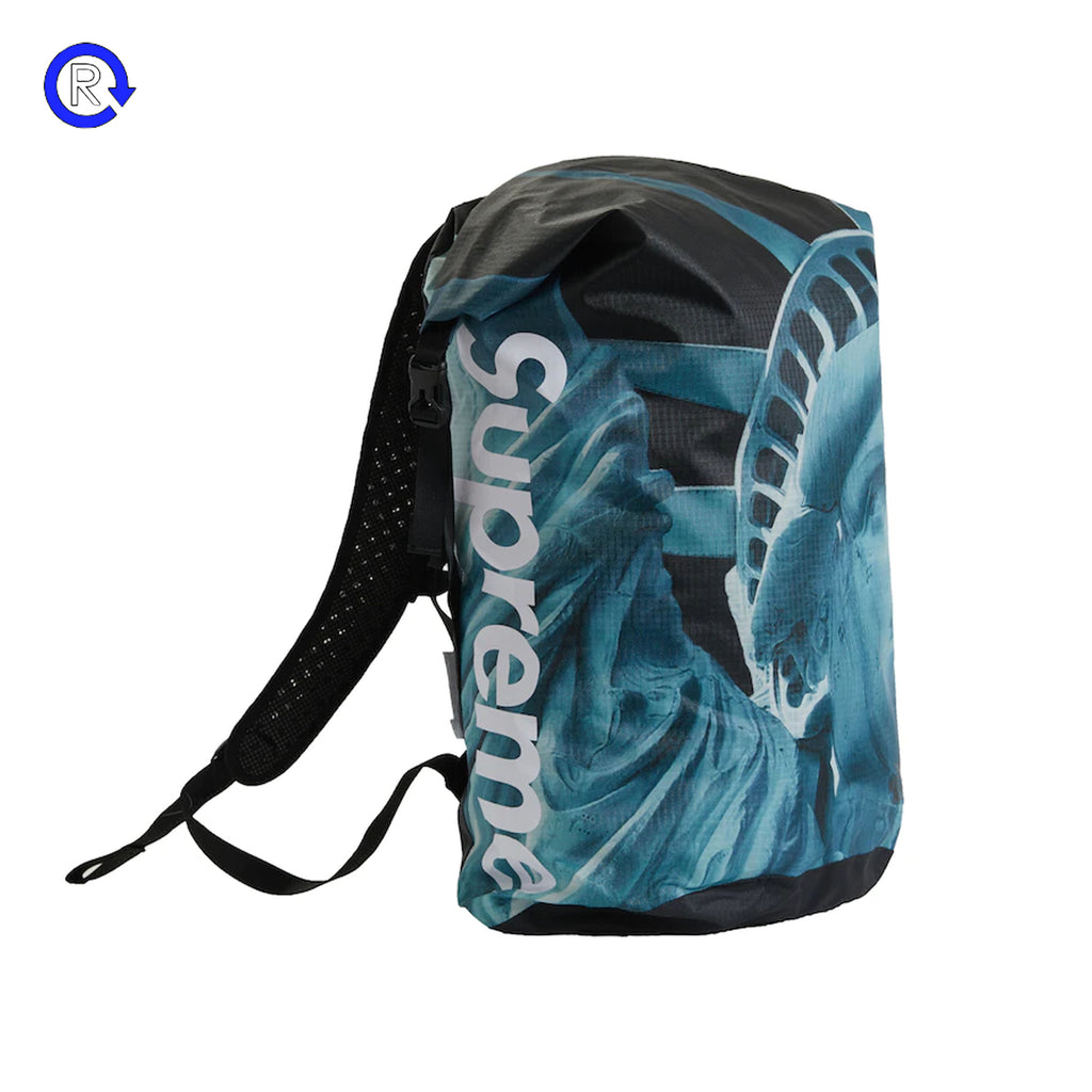 Supreme x TNF Black Statue of Liberty Waterproof Backpack (FW19