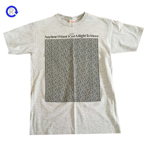 Supreme Grey Anytime I Want Tee (FW11) (NEW)